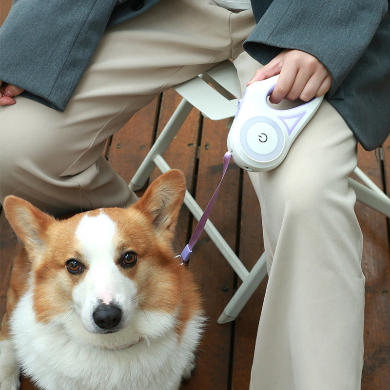 PawFlex Retractable Dog Leash & Collar System