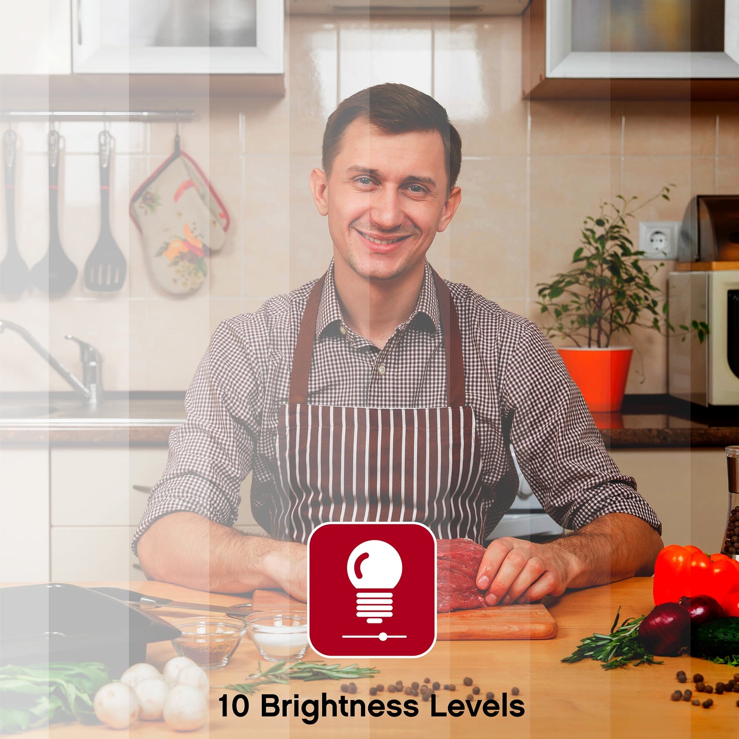 Flex Duo - 3.5’’ LED Ring Light with Stand and Phone Holder, Two Flexible Arms, Multi-Color