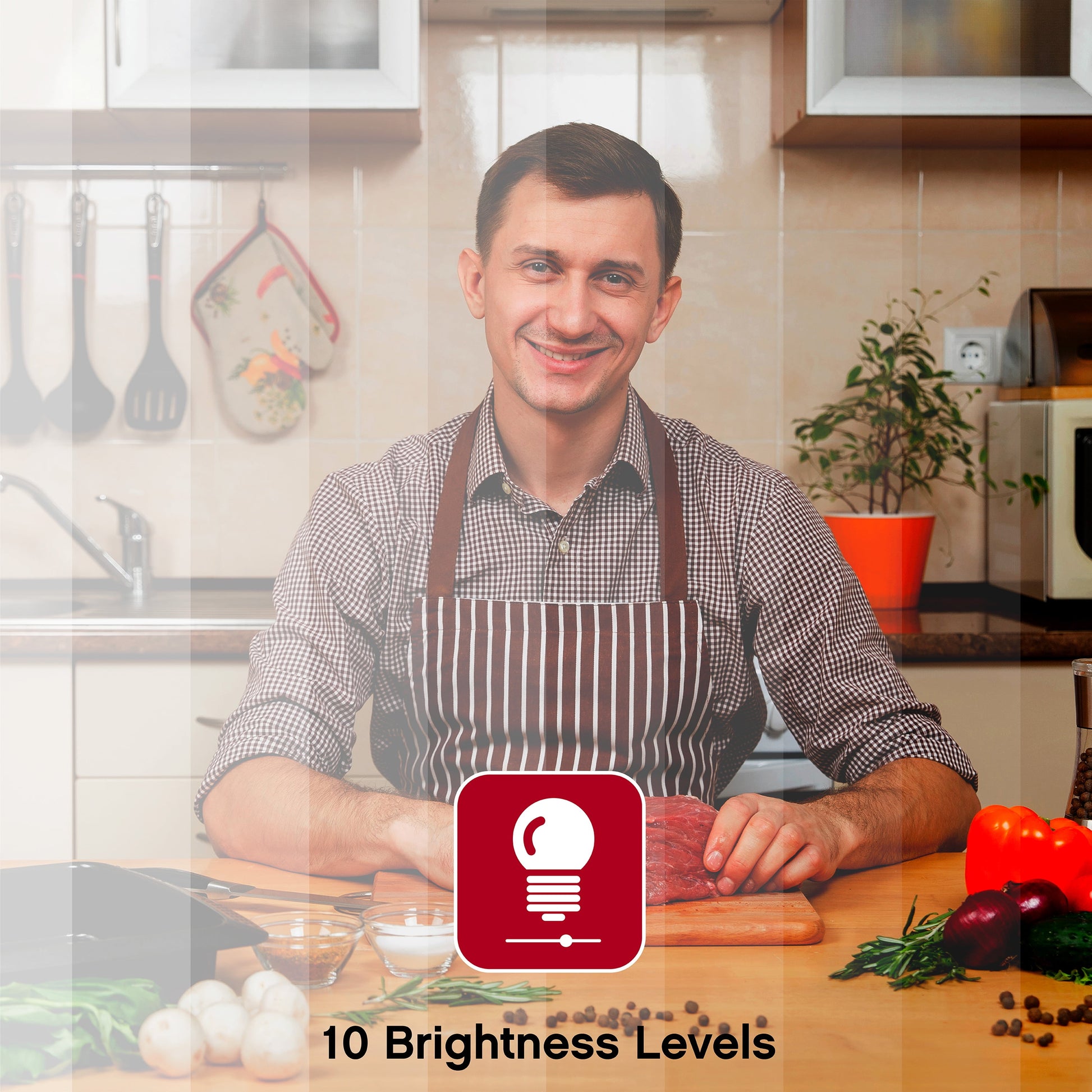 Flex Duo - 3.5’’ LED Ring Light with Stand and Phone Holder, Two Flexible Arms, Multi-Color